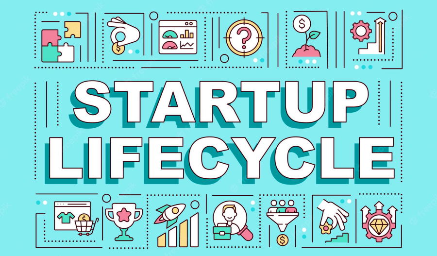 Startup Lifecycle: The Main Stages of a Successful Startup