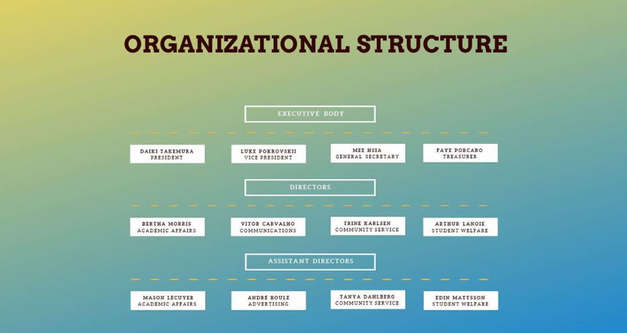 company management structure